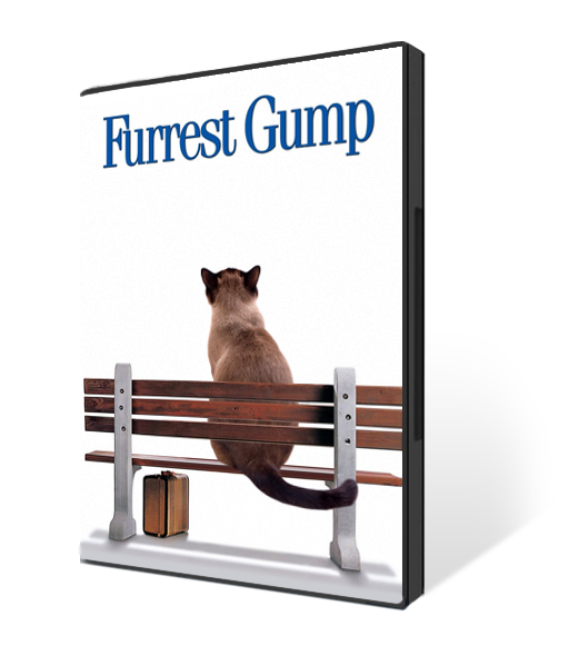 Furrest Gump | Classic Movies If The Leads Were Cats!