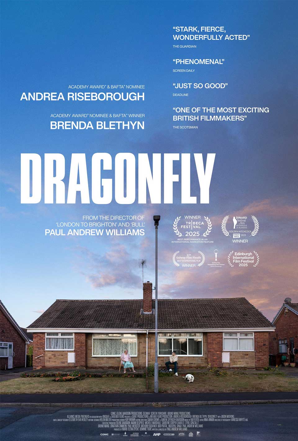 Dragonfly (2025) Feature Film Poster
