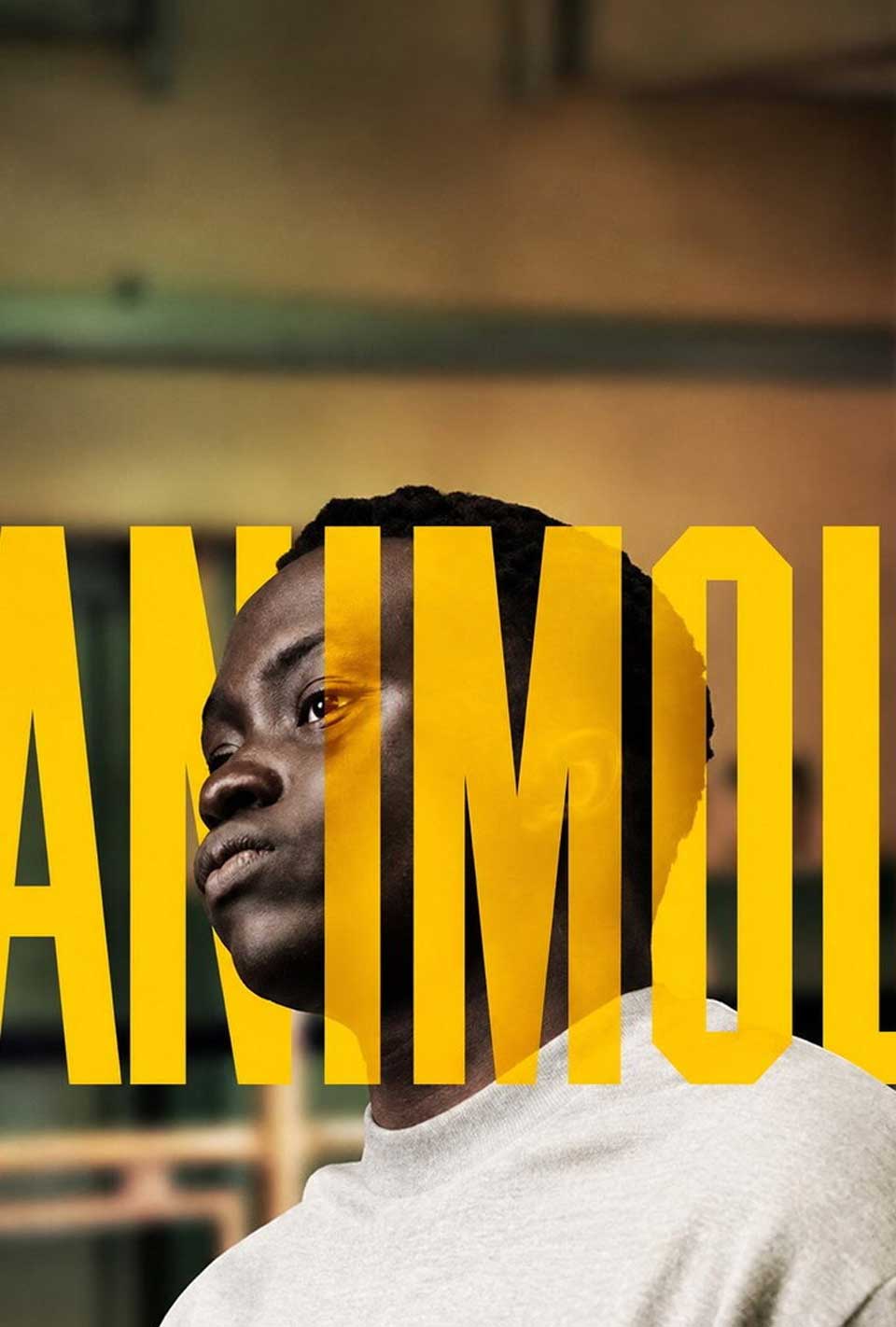 Animol (2026) Feature Film Poster